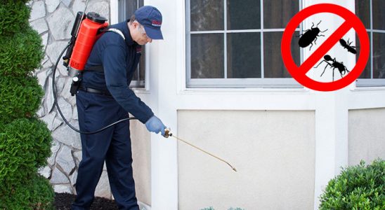 Merkezefendi Bit İlaçlama böcek ilaçlama ve haşere kontrolü — ilaclama-tr.com